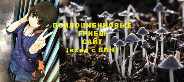 spice Алзамай