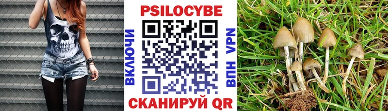Псилоцибиновые грибы GOLDEN TEACHER  купить наркоту  Ноябрьск 